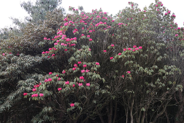 e0430c26-7e2d-4aaa-8a71-1f24df2ca3a7