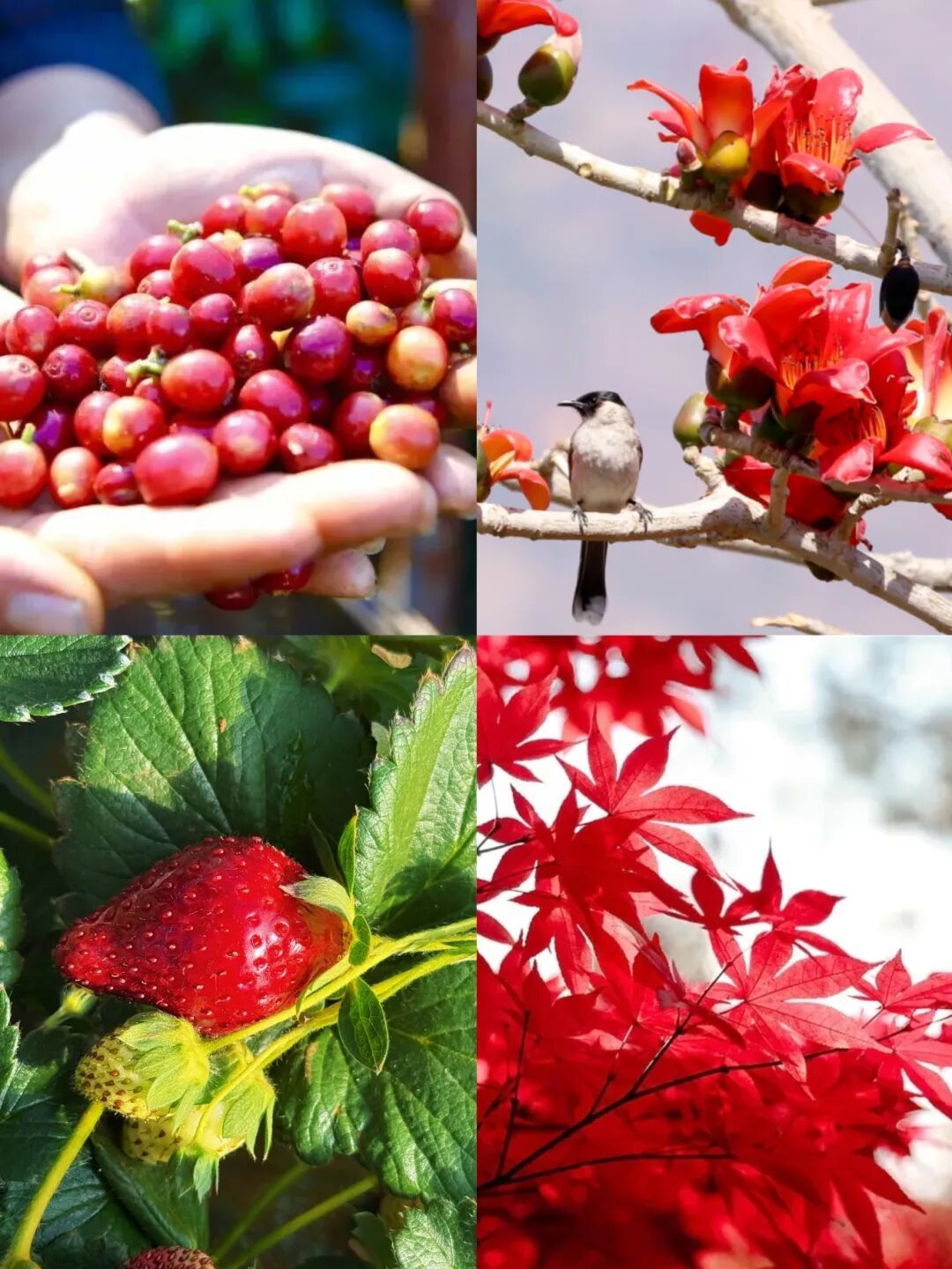 bf043a57736b405cb4f38c6c01073e46