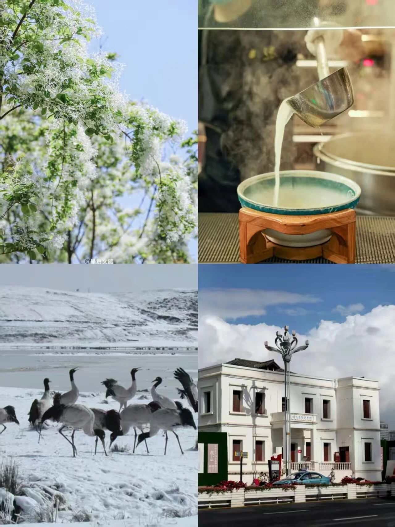 4c392c45cae44bc0a751113669a4413e