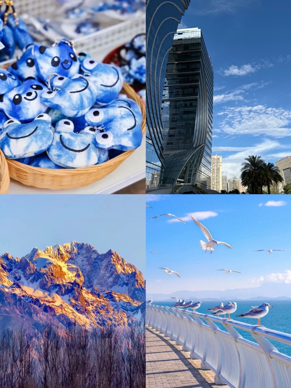 2c33c76e99324ccd9f205a53826ee4a6