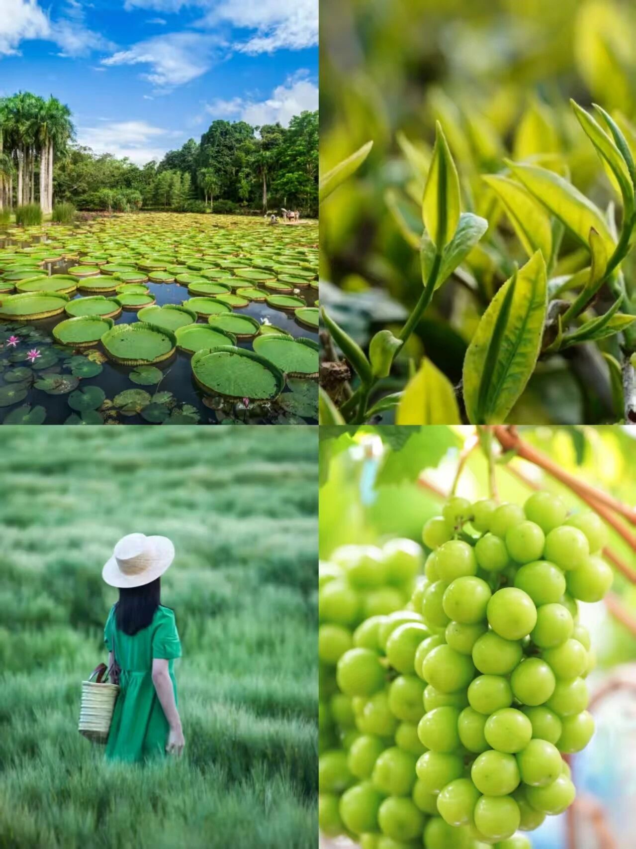 11c371926ceb45a1a75d794c51c94b50