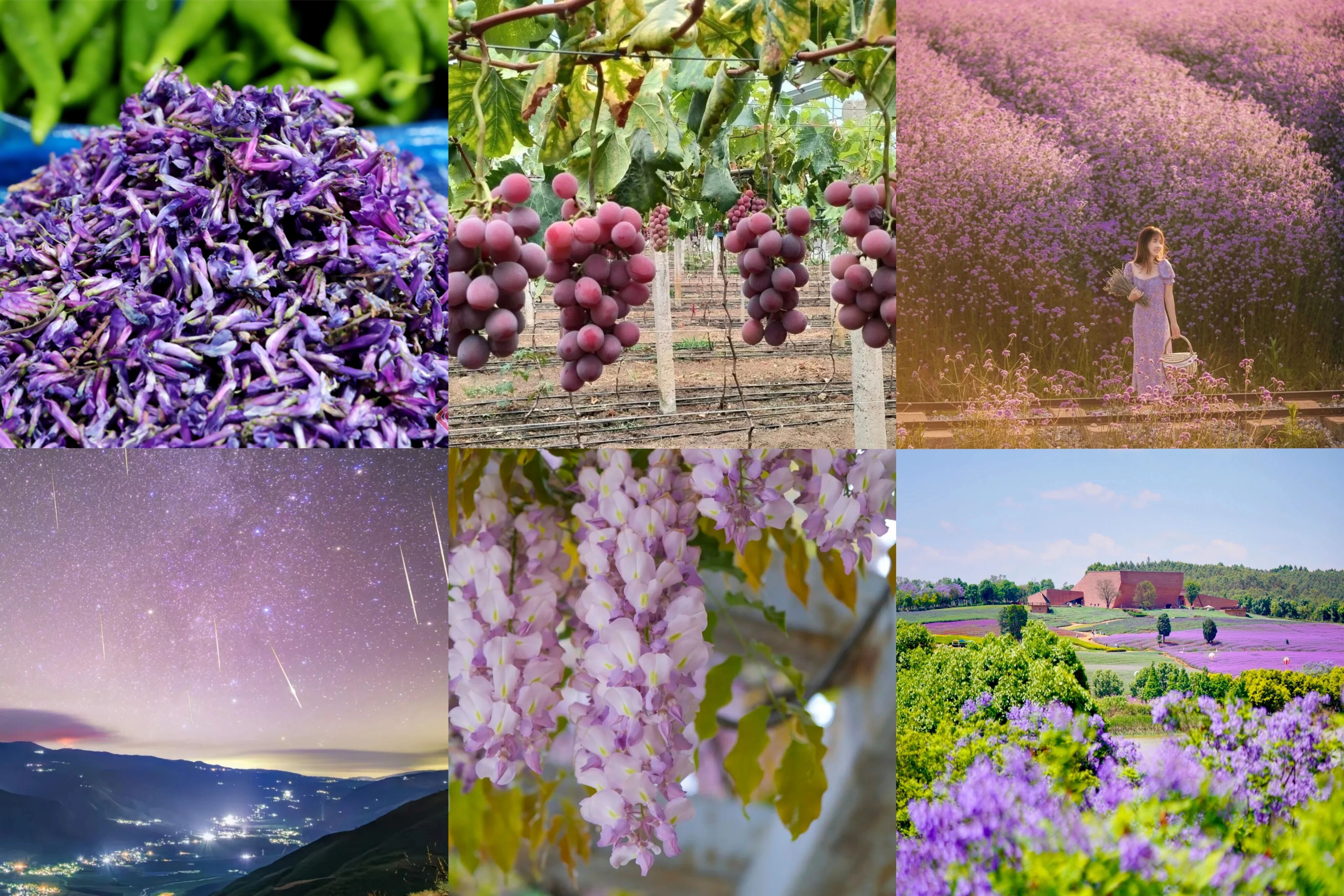 2271de3350ce401fa570a9f7ff4d3ce8