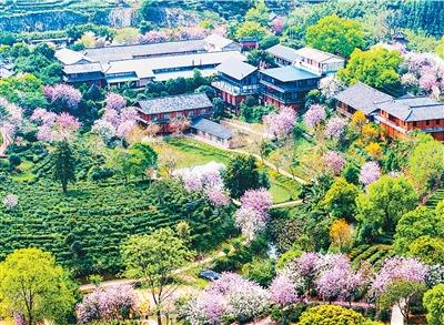 adef7e464aaf4d1c8947fd6e4594fbcc