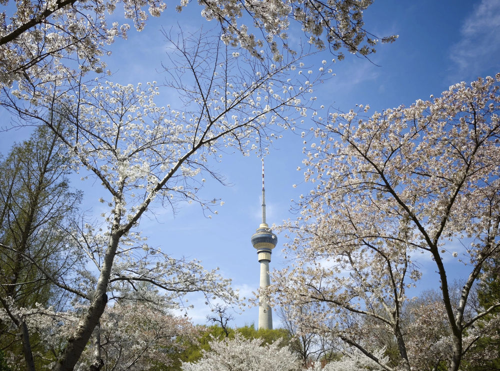 XxjpsgC000020_20260402_CBMFN0A012