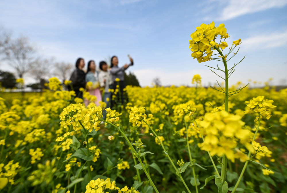 XxjpsgC000020_20260402_CBMFN0A014