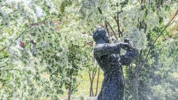 ebfc68d729da4d139e5ed7a7fbaf9dd9