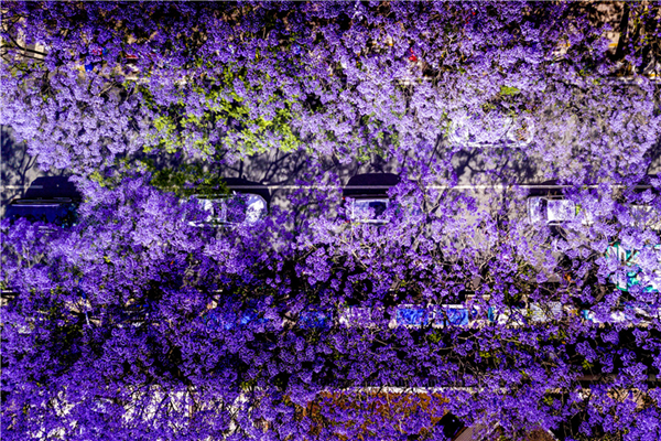 3d9abed5-b9c1-4d95-b184-79b6144aa952