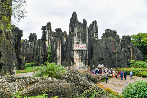 bd82409d-aa37-4343-a181-ab064e56a618